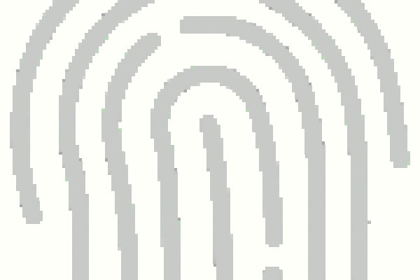 Кракен без тор